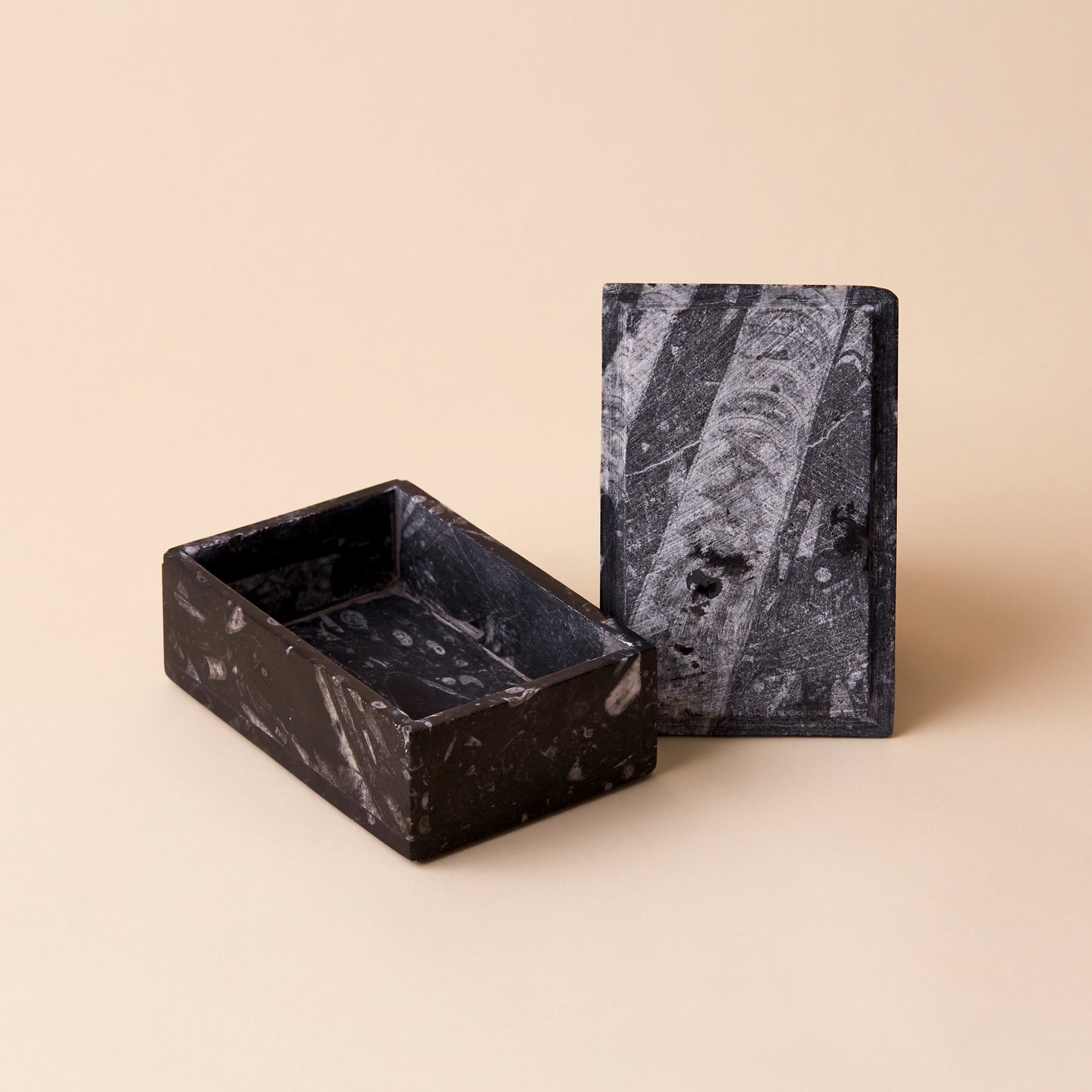 Orthoceras Morocco Fossil Box